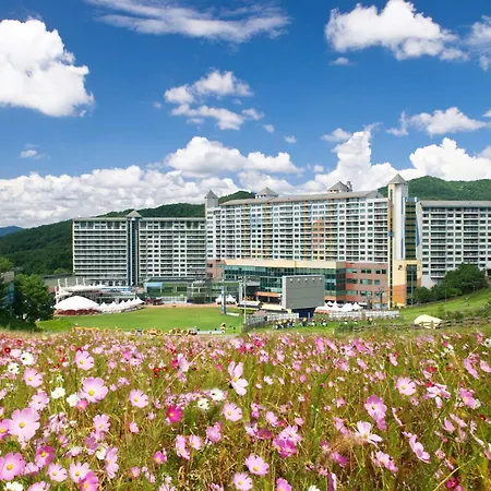 Wellihilli Park Resort-3