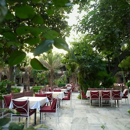 Ranbanka Palace-2