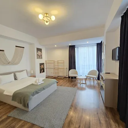 Mosilor Apartments-3