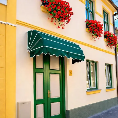 Rosen Villa Sibiu-2