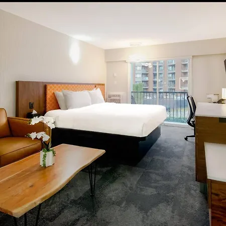 The Vic, An Ascend Collection Hotel-2