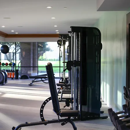 Hilton Anatole-3