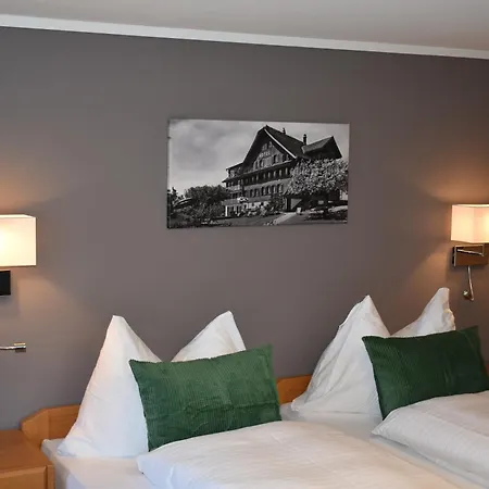 Hotel Friedheim Weggis-3