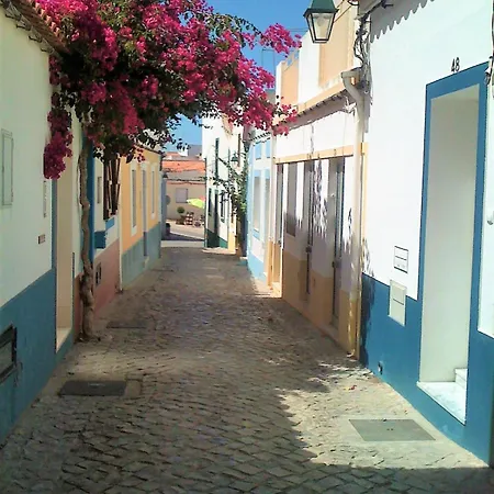 Blue Sardine Hostel-3