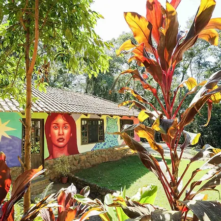 Casa Da Arvore-2