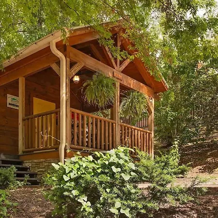 Ani Cabin Tiny Home Bordered By National Forest-2