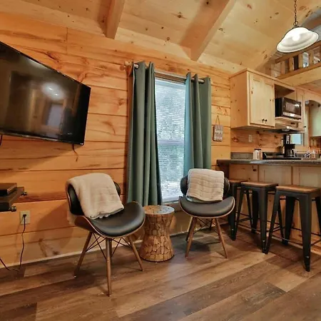 River Cabin Hot Tub & Swim Spa Near Downtown-2