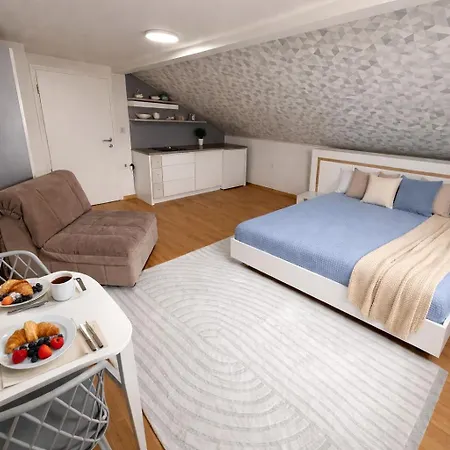 5Mins To Close To City Centar Ac Free Parking Bbq Veluxa Apartments-2