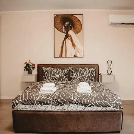 White House Iris Cluj Napoca - Apartament 6 - Parcare Gratuita, Self Check In 24H-3