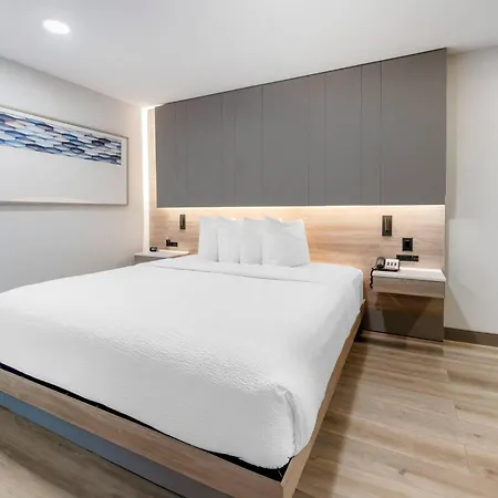 The Capitol Hotel Downtown, An Ascend Collection Hotel-2