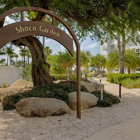 Marriott'S Aruba Ocean Club-3