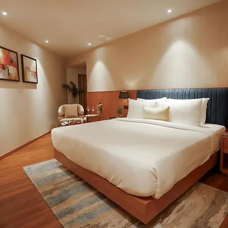 Golden Tulip Jaipur City Center-3