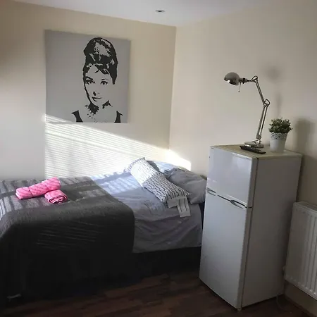 Mapesbury Hostel London-2