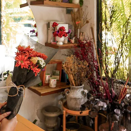 Mezcal Boutique Hotel-3