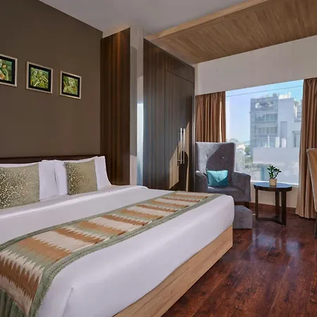 The Fern Residency Udaipur, Series By Marriott-2