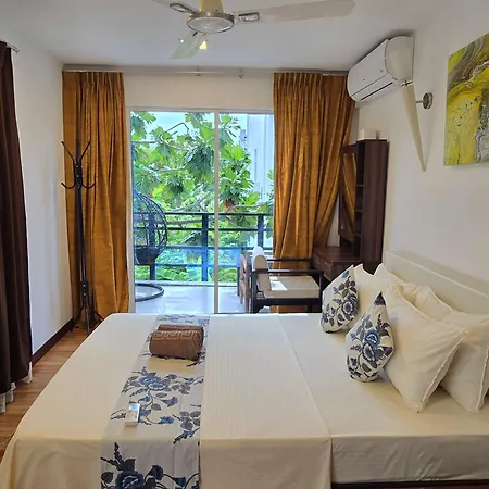 Daisy Cottage Dhangethi-3