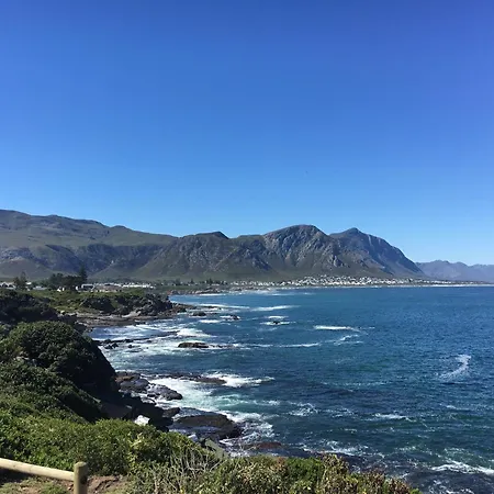 The Lily House Hermanus - Central Private Cottages-2