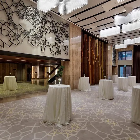Hilton Garden Inn Istanbul Atatuerk Airport-3
