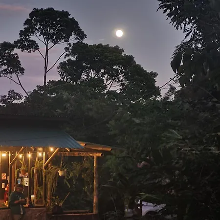 Cecropia Ecolodge-3
