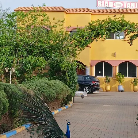 Riad Tanjil-3