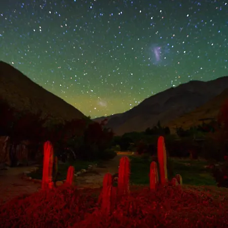 Reset Elqui-3