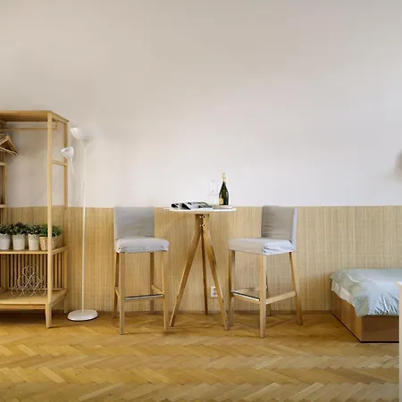 Wellness Apartments Karlin-2