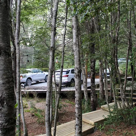 Ni-Newen Hotel & Lodge-2