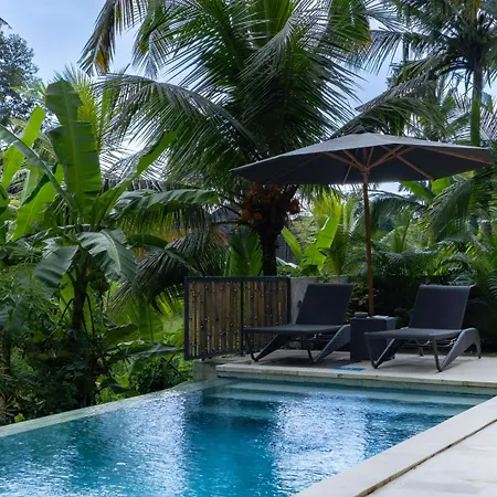 Bali View Ubud Hotel-3