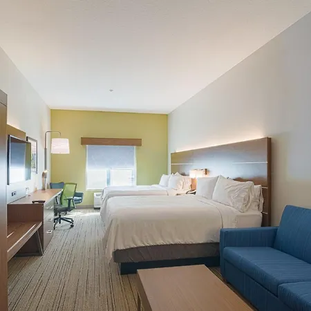 Holiday Inn Express Hotel & Suites Tampa-Usf-Busch Gardens By Ihg-3