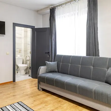 Villa Vlad & Spa-2