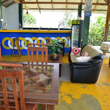 Hill Forest Cottage-2