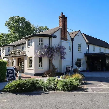 The Royal Foresters, Ascot, Berkshire - Acorn Pubs-2