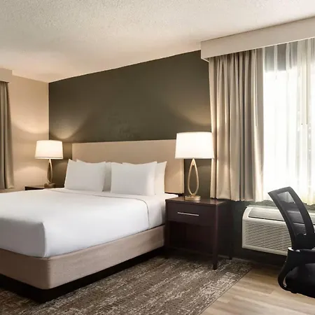 Mai Hana Hotel And Suites I Drive-Theme Parks-3