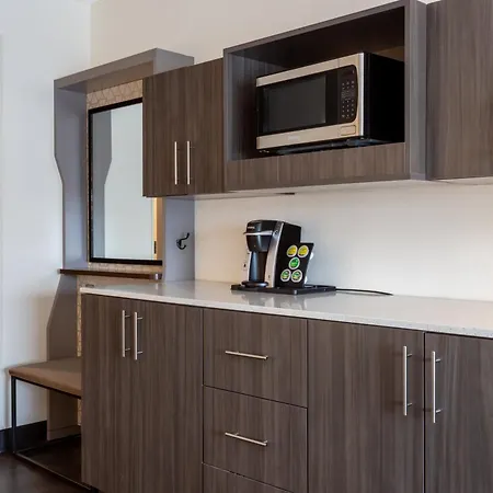 Holiday Inn - Tampa North By Ihg-3