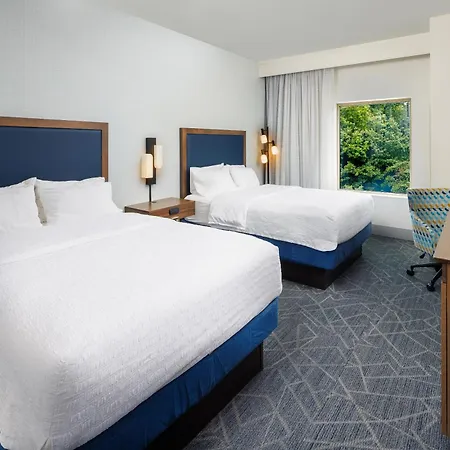 Hampton Inn & Suites-Asheville Biltmore Village, Nc-2