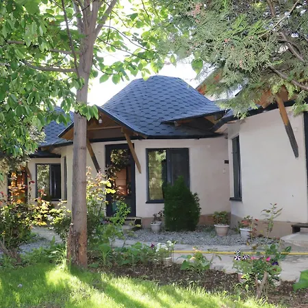 Happy Nomads - Modern Yurt Cottages & Breakfast-2