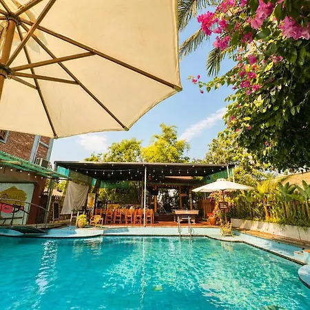 Gecko Backpackers Hostel-3