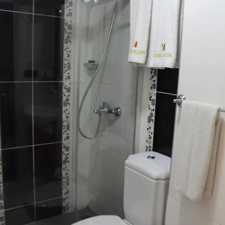 Hotel Falcon-2