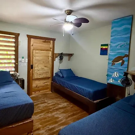 Roatan Backpackers' Hostel-3