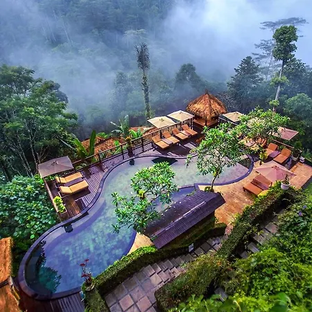 Nandini Jungle By Hanging Gardens-2