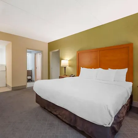 Comfort Inn & Suites Lavale - Cumberland-3