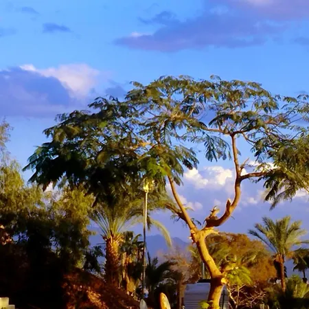 Taba Sands Hotel & Casino (Adults Only)-3