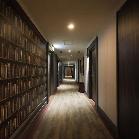 Golden Tulip - Aesthetics-2