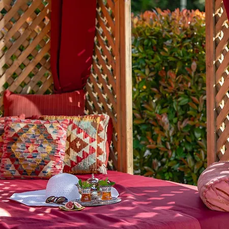 Meses Shiraz Hotel Superior-Adults Only-3
