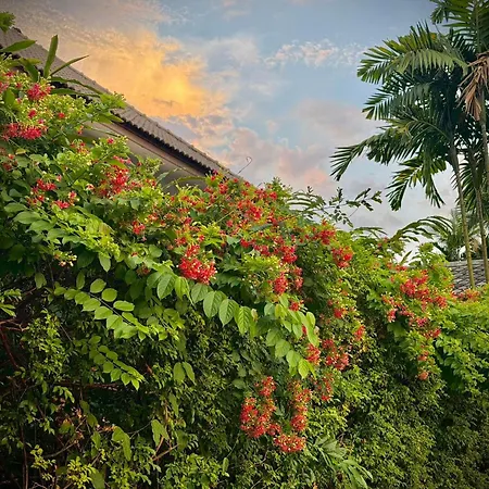 Shewe Wana Boutique Hotel (Adults Only)-2