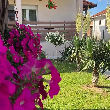 Djurdja 2 Apartman-3