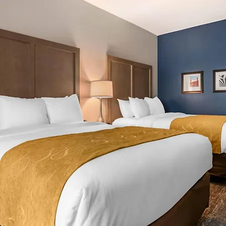 Comfort Inn & Suites Jacksonville - Orange Park Near Naval Air Station-3