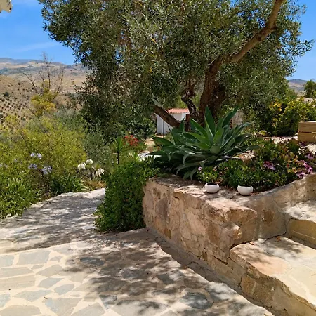 Finca Altozano - Private Pool-2