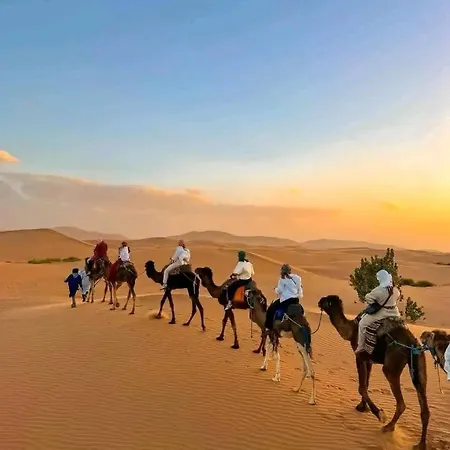 Bivouac Camel Trips-2