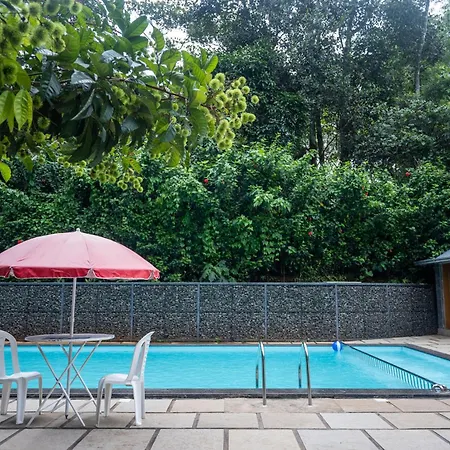 Misty Lake Resorts Munnar By Sylora Hotels-3